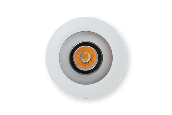 LED Spot RGBW Tree Wit